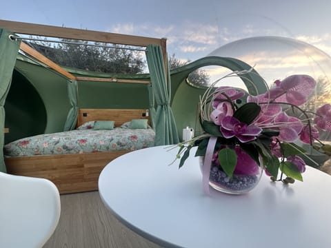 Luxury Studio Suite | Desk, soundproofing, free WiFi