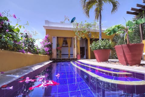 Roof Top Pool