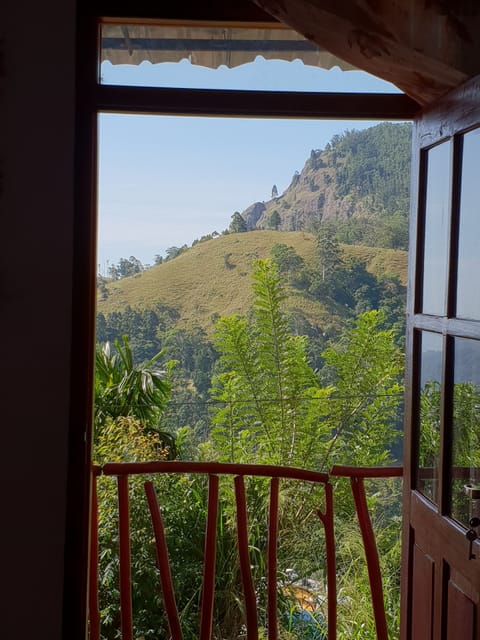 View from room
