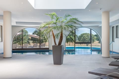 Indoor pool, sun loungers