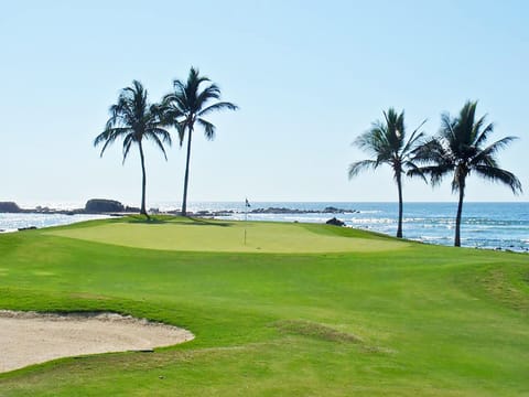 Beautiful Ocean/Golf Settings