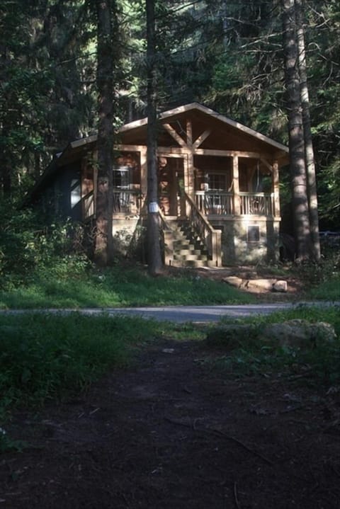 the cabin from the lake