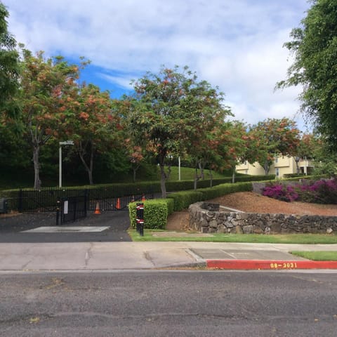 The entrance to condo right past Main entrance you can walk to pool area  