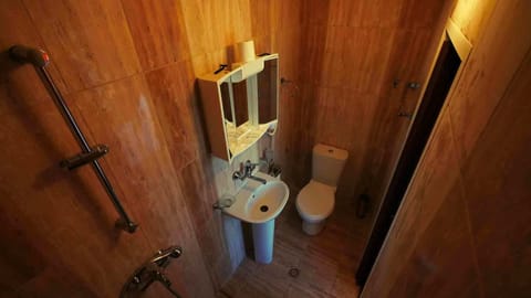 Small Double Room | Bathroom | Shower, free toiletries, hair dryer