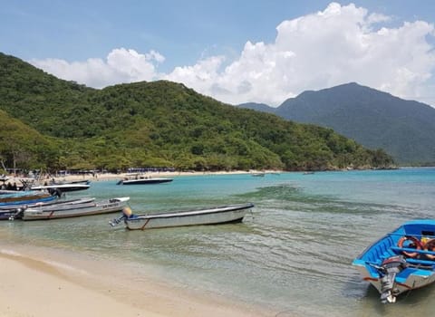 On the beach, sun loungers, beach umbrellas