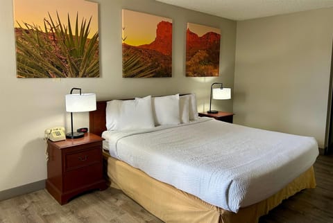 Standard Room, 1 King Bed | Desk, blackout drapes, iron/ironing board, WiFi (free)