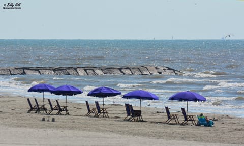 Babe's Beach is directly across the street