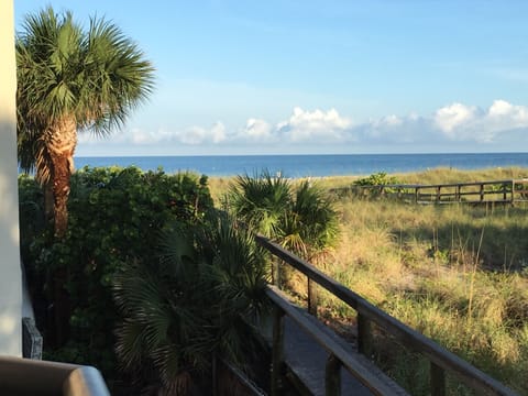 Beautiful and Relaxing View from our Balcony