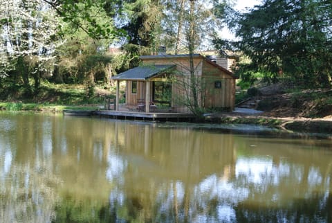 The Cabin
