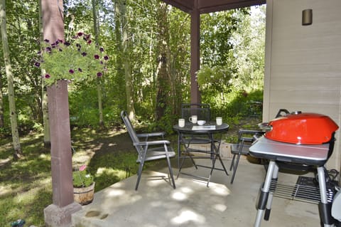 Patio with Electric Grill