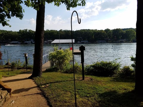 Our view of the lake from the back yard
