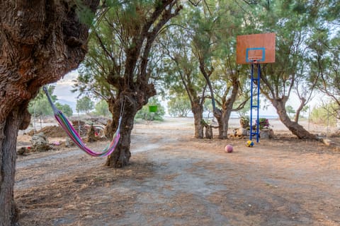 TRAIN YOURSELF BY PLAYING BASKETBALL