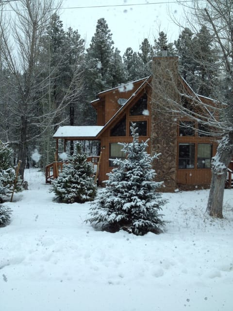 Cabin in the Pines