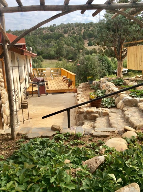 Big deck, propane grill and hummingbird feeders