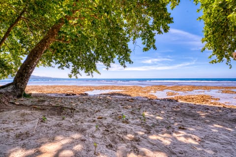 Beach nearby, beach towels
