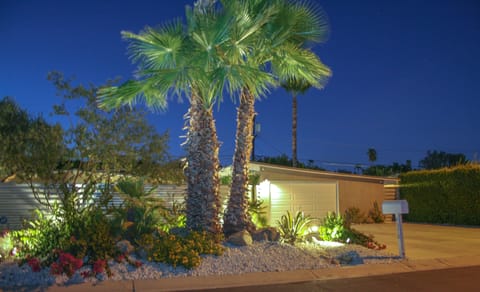 Welcome to Desi's Desert Pad