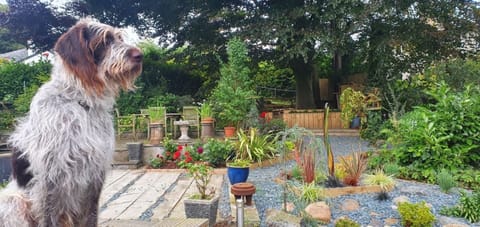 view from parking area up to top patio