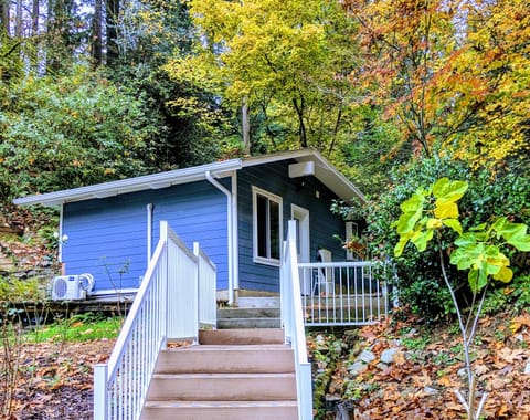 Our place in the fall