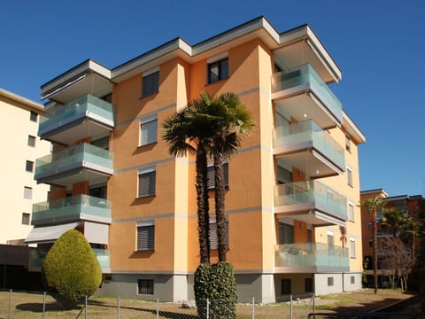 Plant, Building, Sky, Property, Window, Tree, Arecales, Urban Design, Tower Block, Condominium