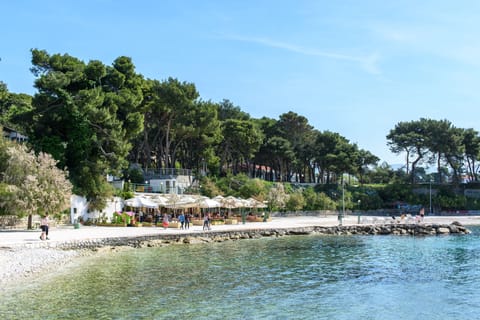 Beach nearby, sun loungers, beach umbrellas, 3 beach bars