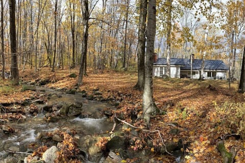 Brook adjacent to West side of house; you can hear the water from the master bedroom