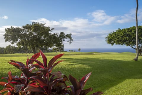 View from Living Room Lanai