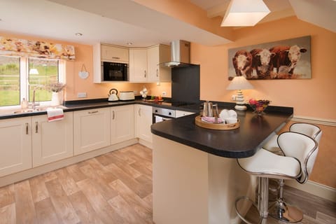 Dryburgh Stirling Two - kitchen area with breakfast bar and two stools
