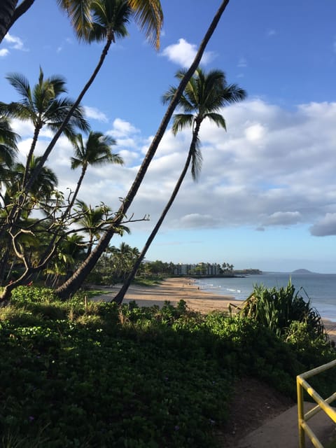 Charley Young / 
Kamaole I Beach