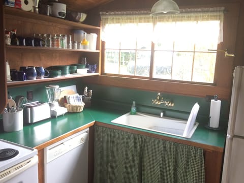 Dishwasher and farmhouse sink