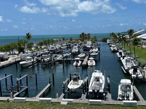Actual Ocean and Marina Views from Condo Balcony!