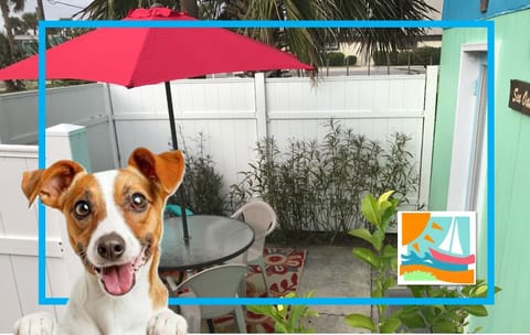 Welcome to Sea Oats Studio!