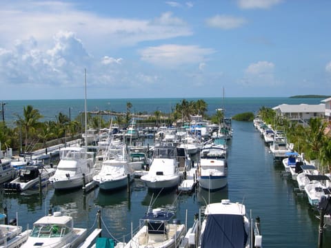 Private Marina W/Direct Ocean Assess
