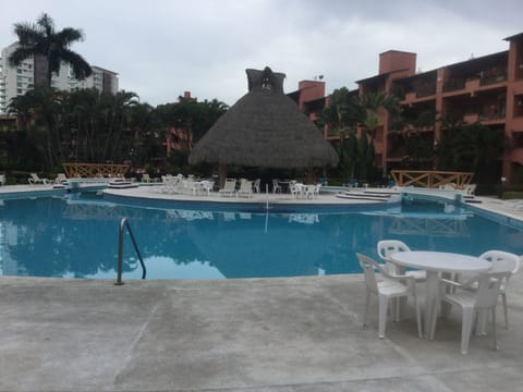 Pool with big palapa island, granite bar and sink. lounge chairs tables & chairs