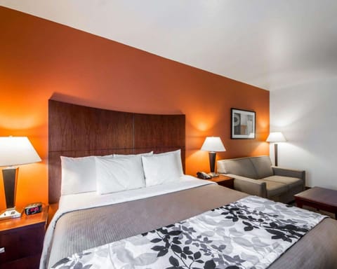 Desk, laptop workspace, iron/ironing board, rollaway beds