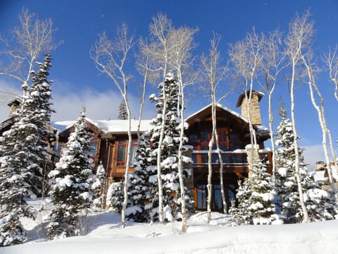 Front of our Larkspur home