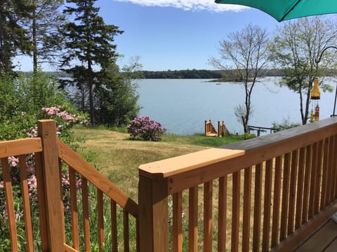 Large yard, swimming, kayaking enjoy the peace and quiet. 