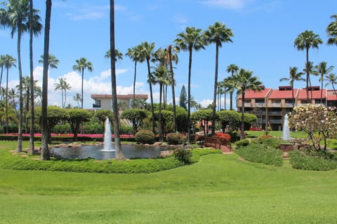 View from our ground floor lanai