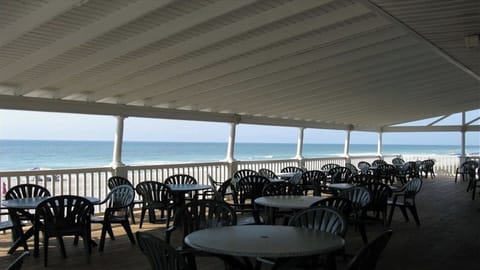 Oceanfront dining at the Conch Cafe!