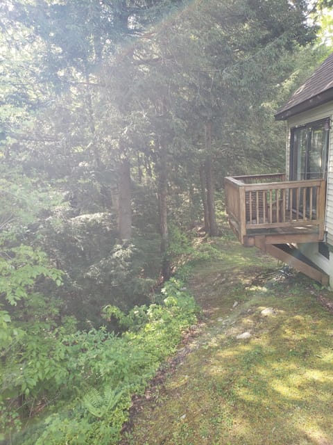 Birdhouse deck off master bedroom