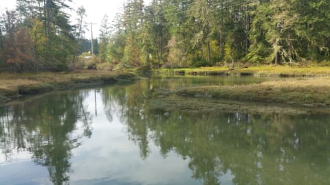 Marsh Flats near Oro Bay