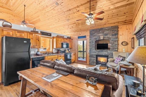 Living Area and Kitchen Space