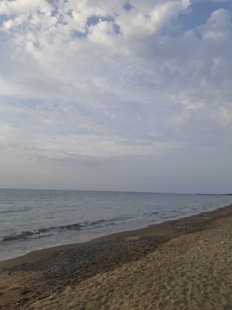 Private beach, beach shuttle, beach umbrellas, beach towels