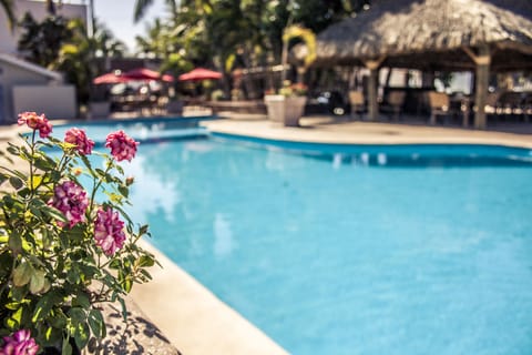 Outdoor pool, sun loungers