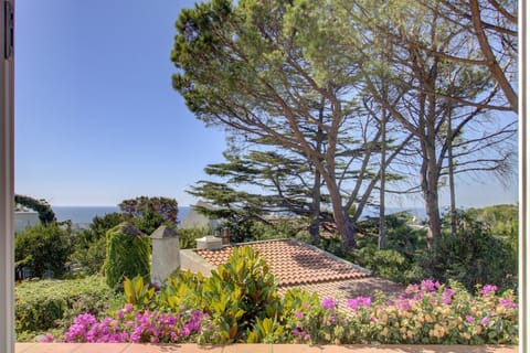 view from the living room