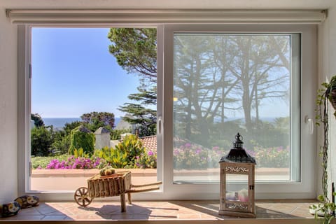 view from the living room