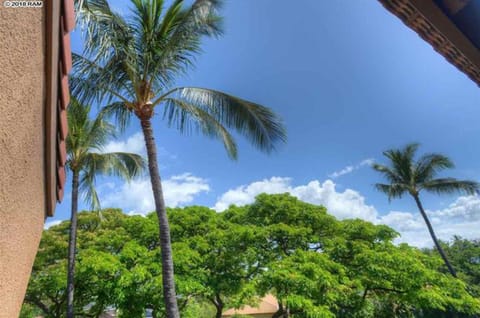 View from the balcony/lania.