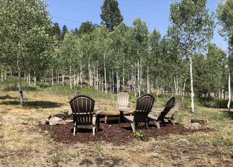 Outdoor seating area backing to National Forest
