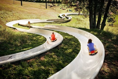 Summer alpine slide.