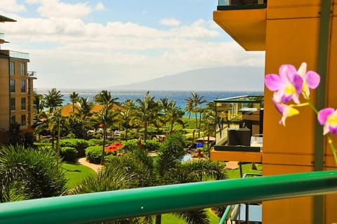 View from the lanai/patio of the vacation rental - Enjoy the sunset from your lanai.