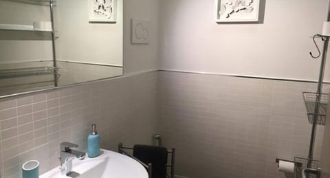 Double Room | Bathroom | Shower, free toiletries, hair dryer, towels